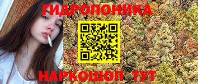 прущая мука Пугачёв